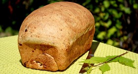 olive cheddar bread