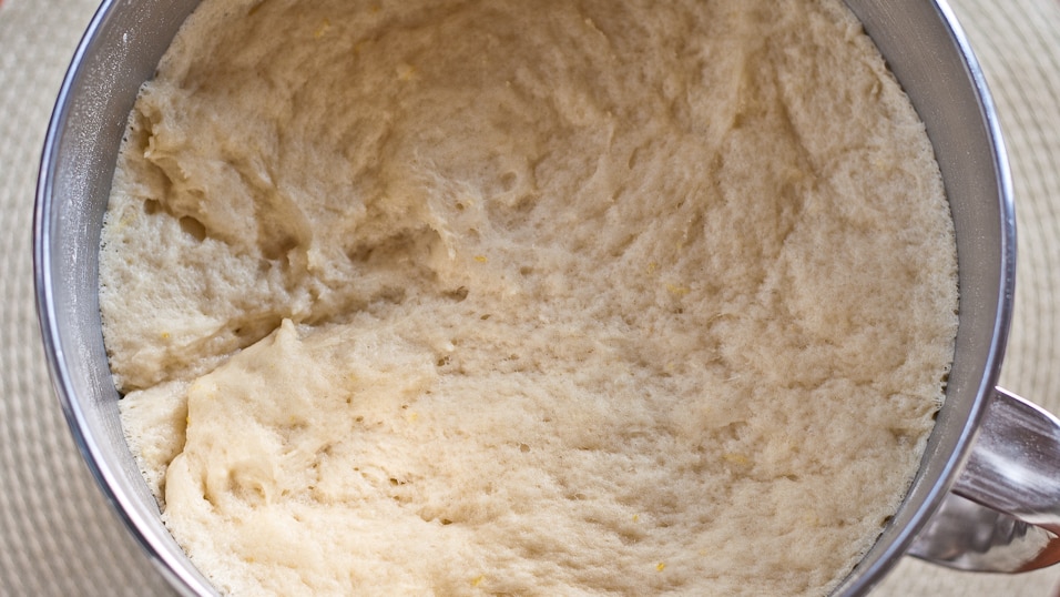 dough after rising