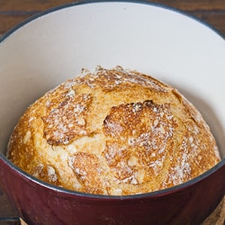 Crusty Bread