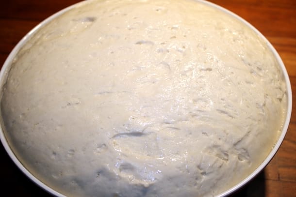 Dough rising in a plastic bowl