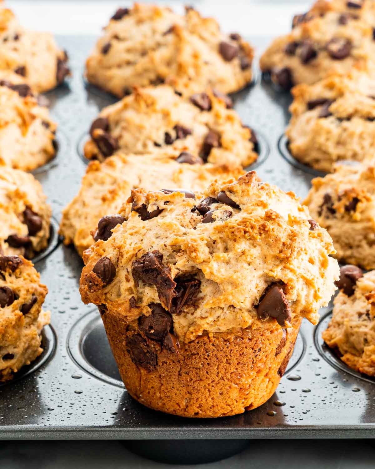 chocolate chip muffins in a muffin pan fresh out of the oven