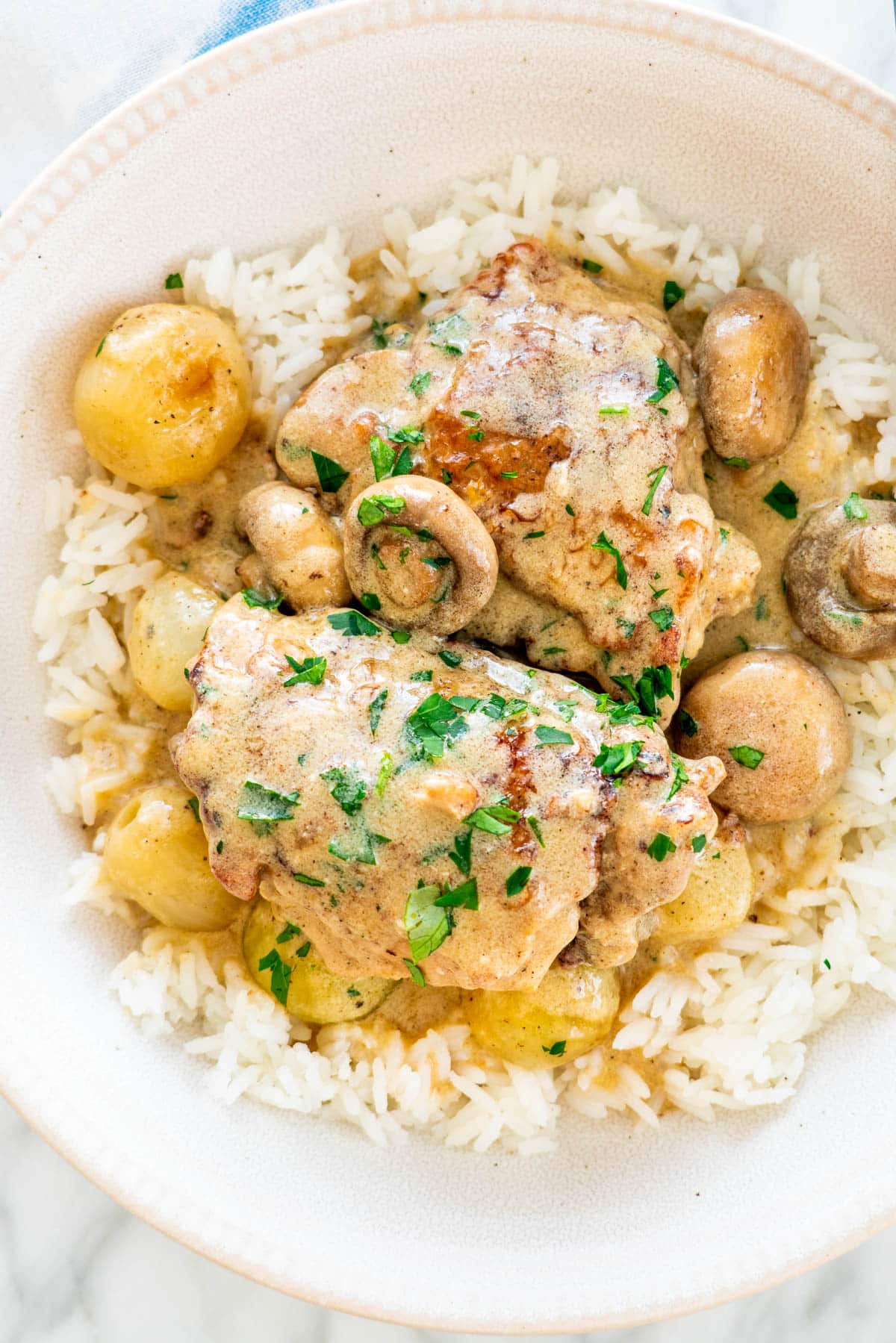 chicken fricassee over rice in a beige plate