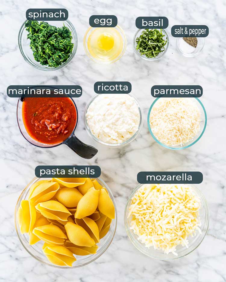 overhead shot of all ingredients needed to make stuffed pasta shells