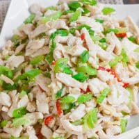 shredded chicken with celery on a plate