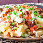close up shot of fries supreme on a plate