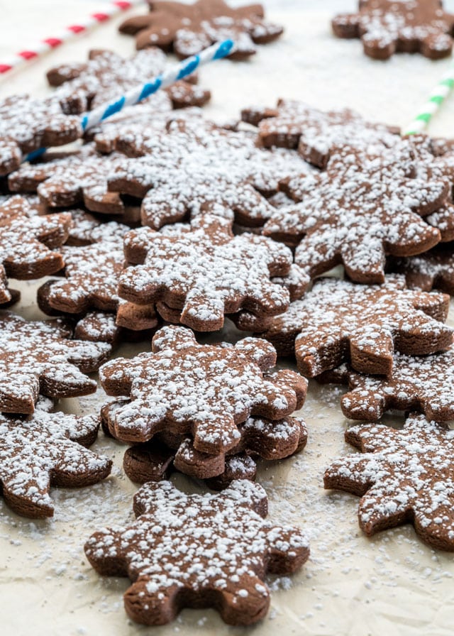 Pile of Chocolate Sugar cookies sprinkled with icing sugar