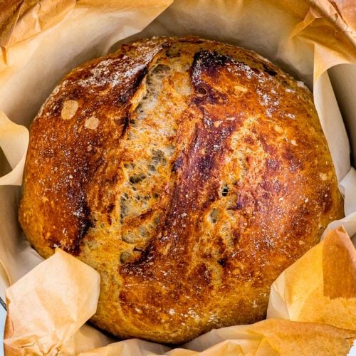 https://www.jocooks.com/wp-content/uploads/2013/12/no-knead-whole-wheat-bread-1-18-500x500.jpg