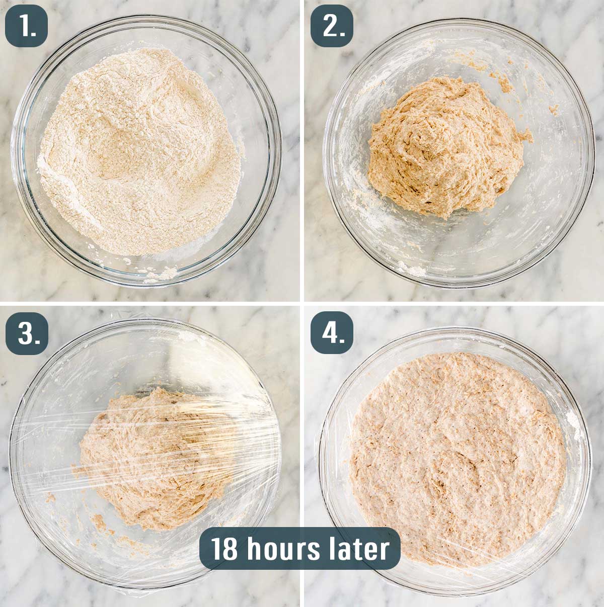 process shots showing how to make the dough for no knead whole wheat bread.