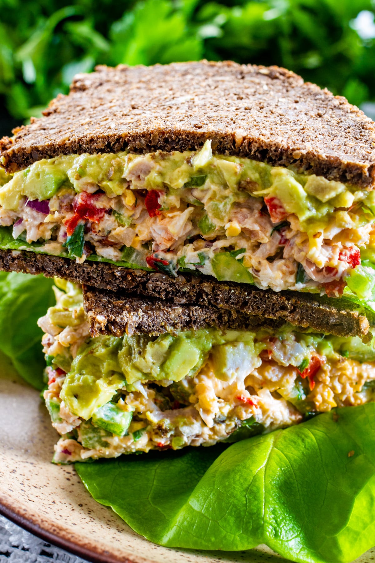 Avocado Chicken Salad sandwich with dark bread on a plate