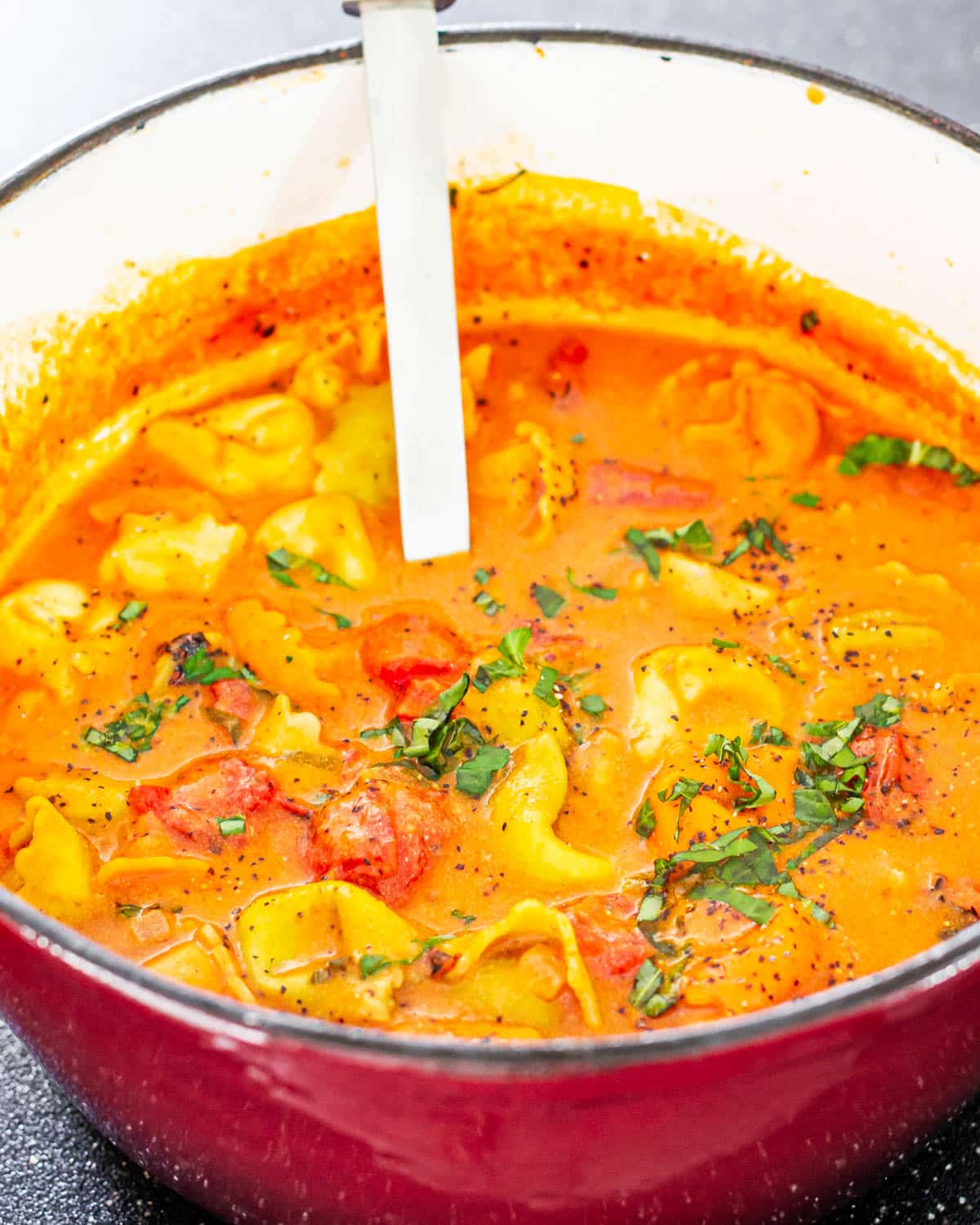 Tomato Tortellini Soup in a dutch oven