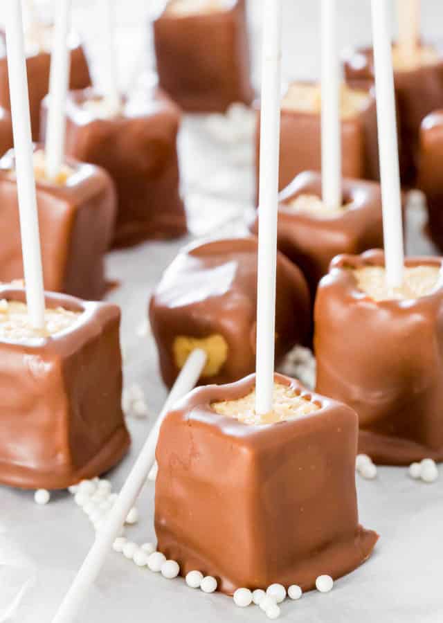 Chocolate Peanut Butter Cheesecake Pops - creamy chocolaty and smooth peanut butter cheesecake pops, perfect for parties and fun to make with your kids.