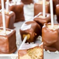 chocolate peanut butter cheesecake pops with a bite taken from one