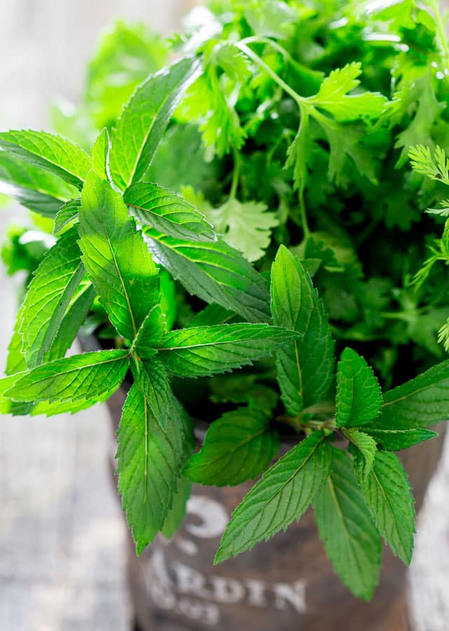 a bouquet of fresh herbs such as mint, cilantro, parsley