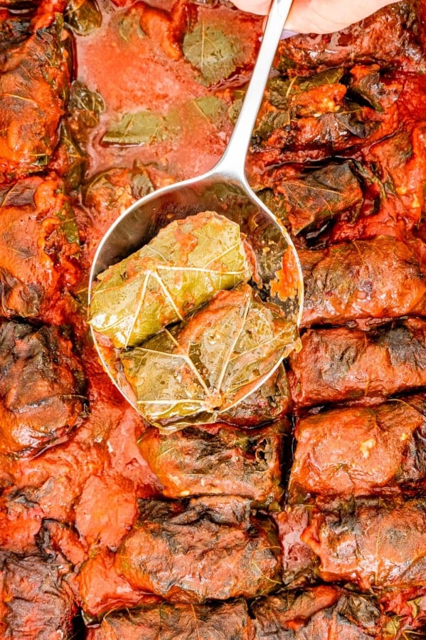overhead shot of a serving spoon holding up two stuffed grape leaves above the pan of stuffed grape leaves