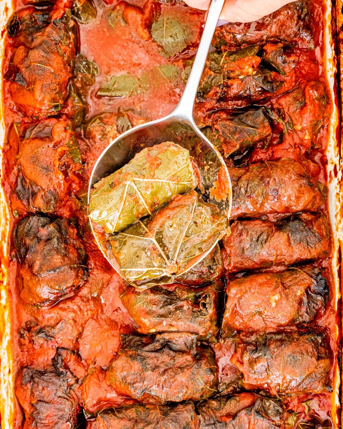 a large pan filled with Stuffed Grape Leaves with a spoon holding 2 stuffed grape leaves over the pan