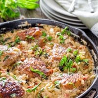 creamy chicken orzo with sundried tomatoes in a skillet