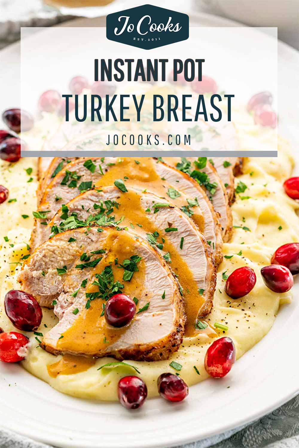 pin for instant pot turkey breast.
