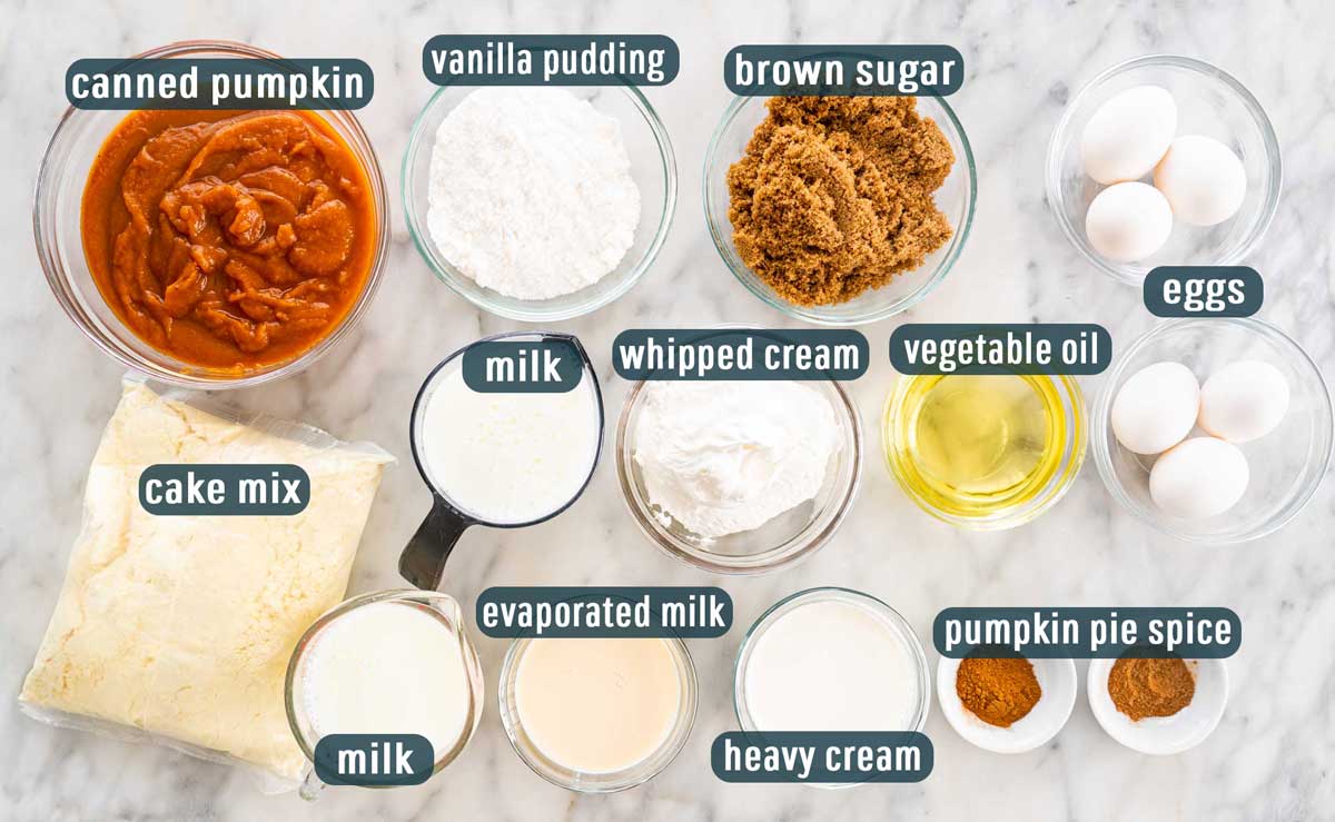overhead shot of all the ingredients needed to make pumpkin magic cake.