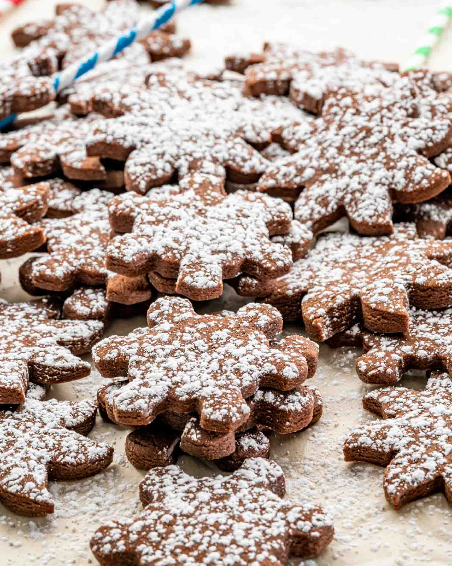 a bunch of chocolate sugar cookies dusted with powdered sugar.