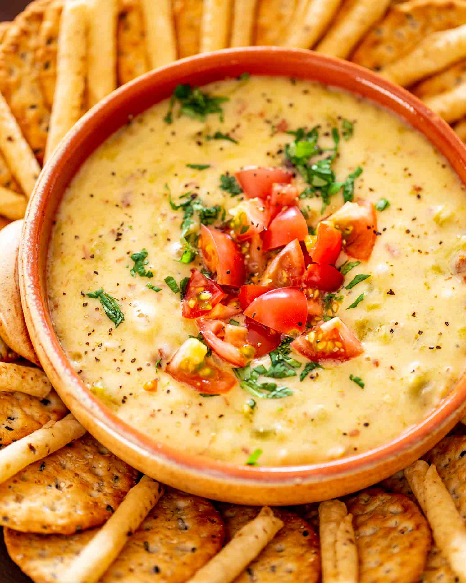 a bowl with queso blanco topped with tomatoes and cilantro surrounded by crackers.