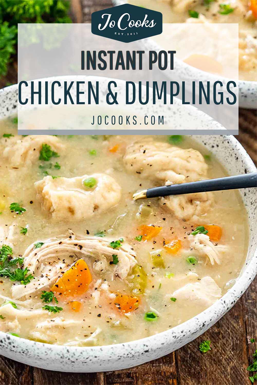 pin for instant pot chicken and dumplings.