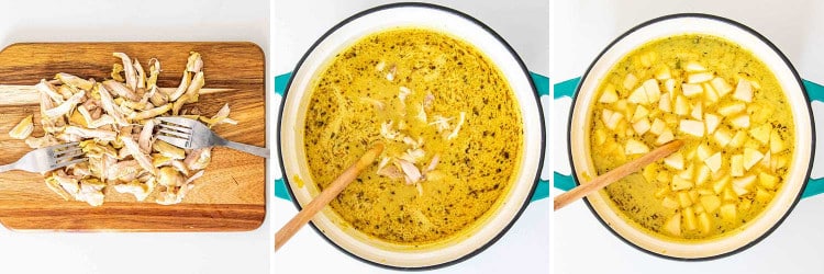 process shots showing how to make mulligatawny soup.