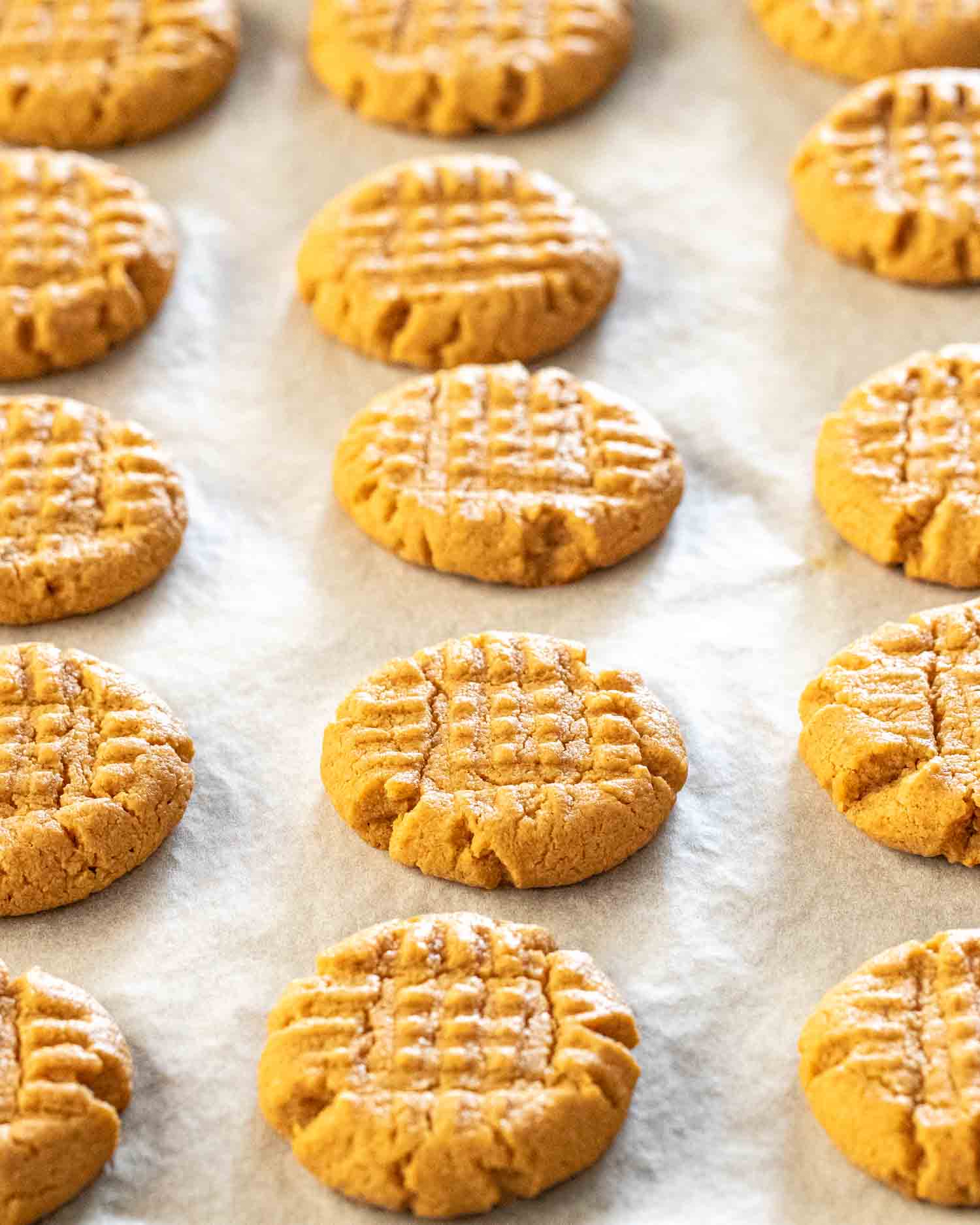 side view shot of peanut butter cookies lined up on parchment paper.