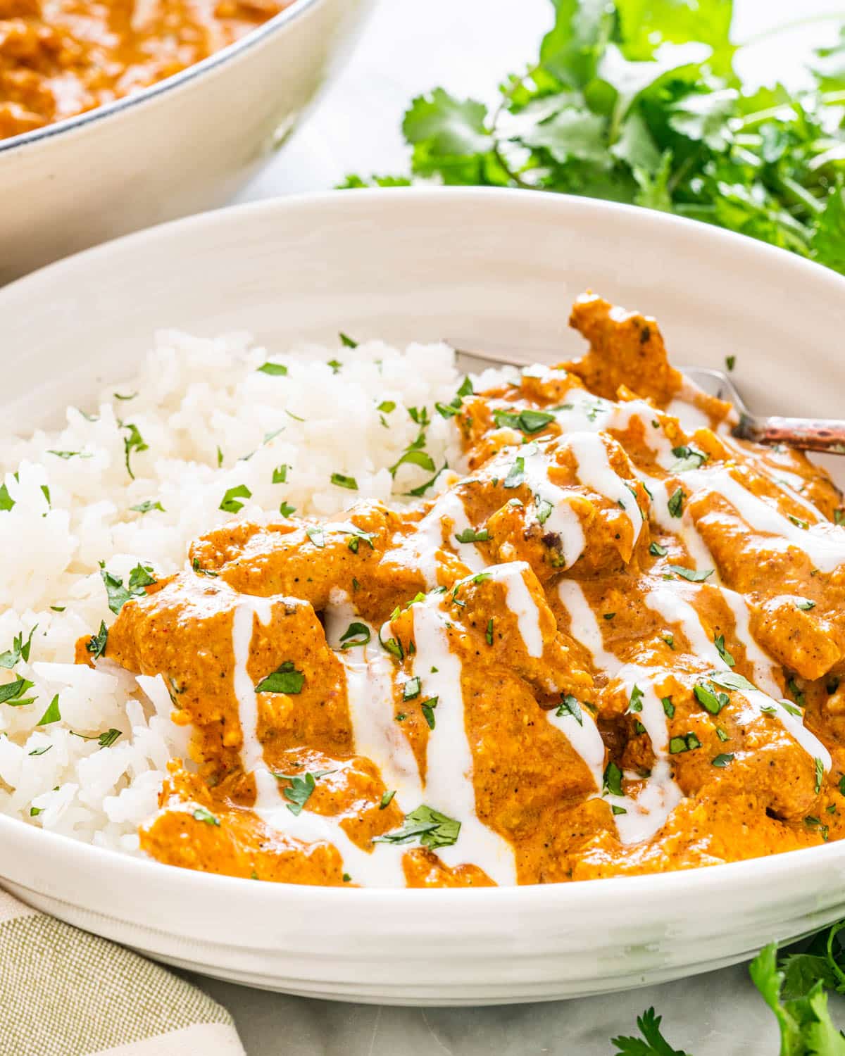chicken korma with rice on a white plate garnished with yogurt and cilantro