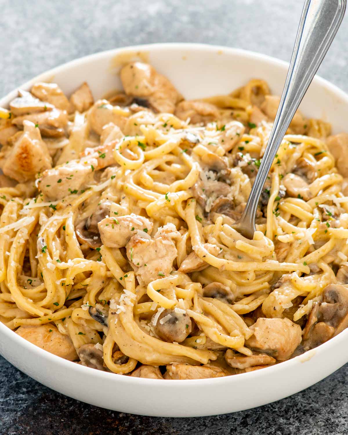 chicken tetrazzini garnished with parmesan cheese in a white bowl.