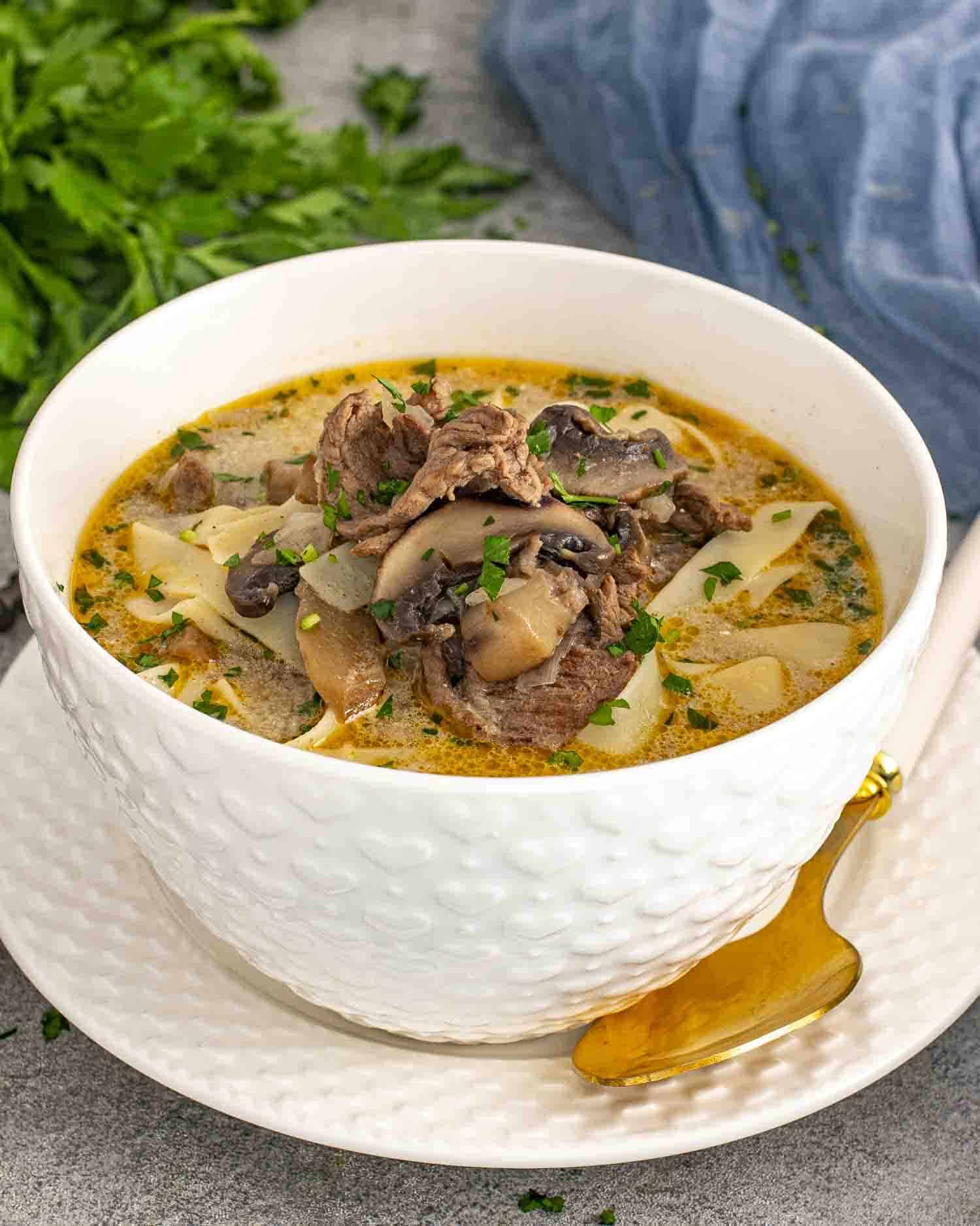 A close-up shot of a bowl of Beef Stroganoff Soup served in a textured white bowl on a matching plate. The creamy, golden broth is packed with tender slices of beef, wide egg noodles, and earthy mushrooms, all garnished with freshly chopped parsley.
