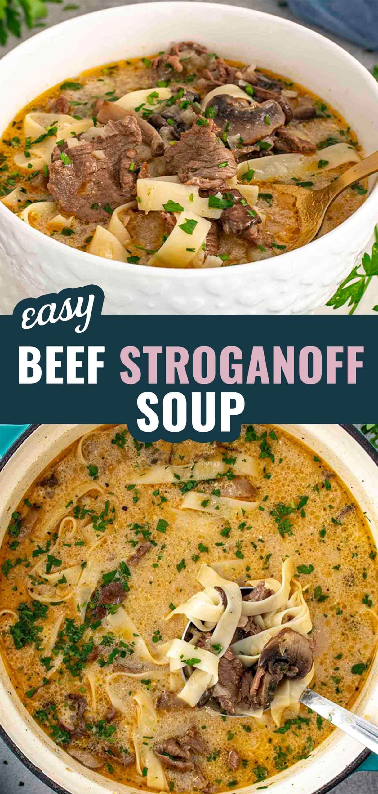 pin for beef stroganoff soup.