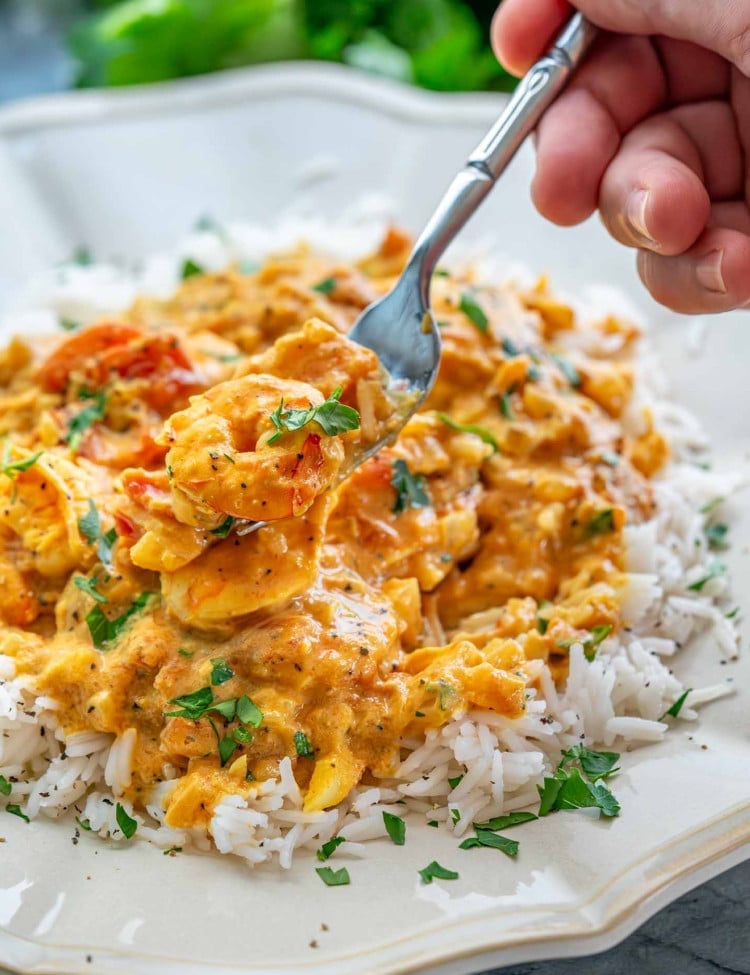 a serving of coconut shrimp curry on a bed of rice.