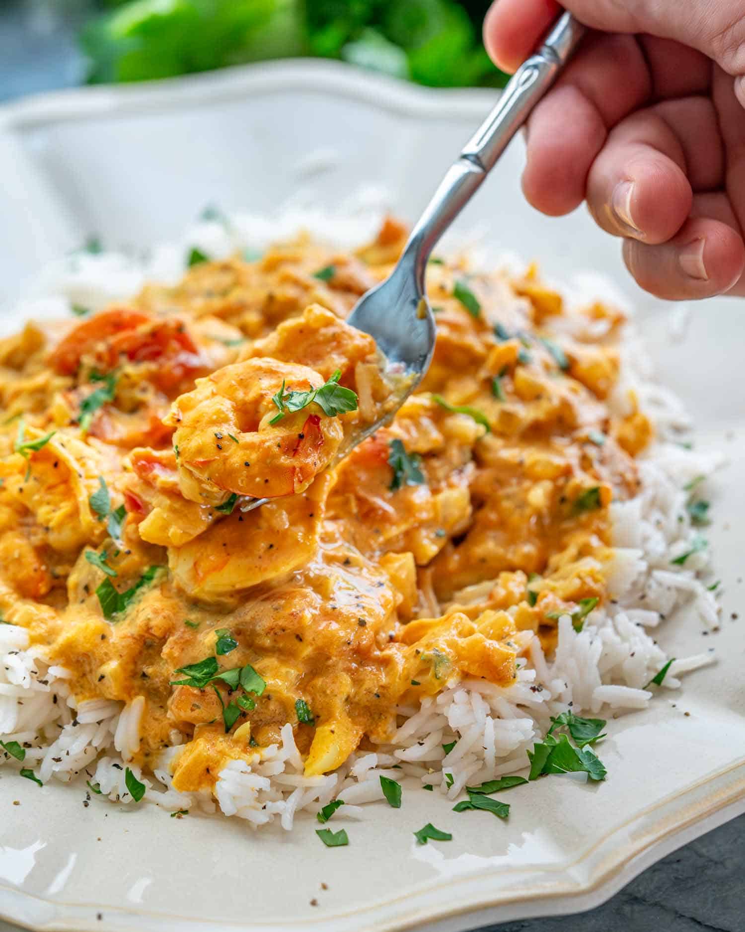 a serving of coconut shrimp curry on a bed of rice. 