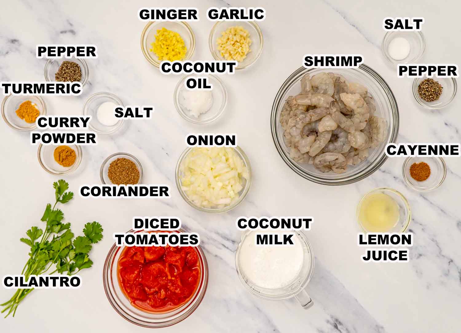 ingredients needed to make coconut shrimp curry.