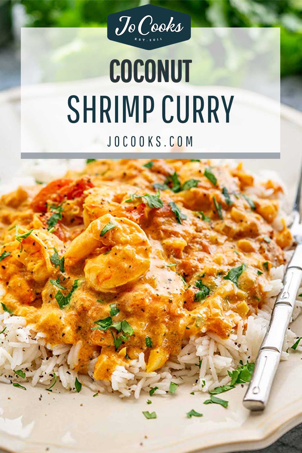 pin for coconut shrimp curry.