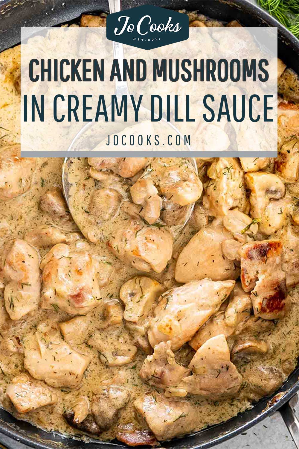 pin for chicken and mushrooms in creamy dill sauce.