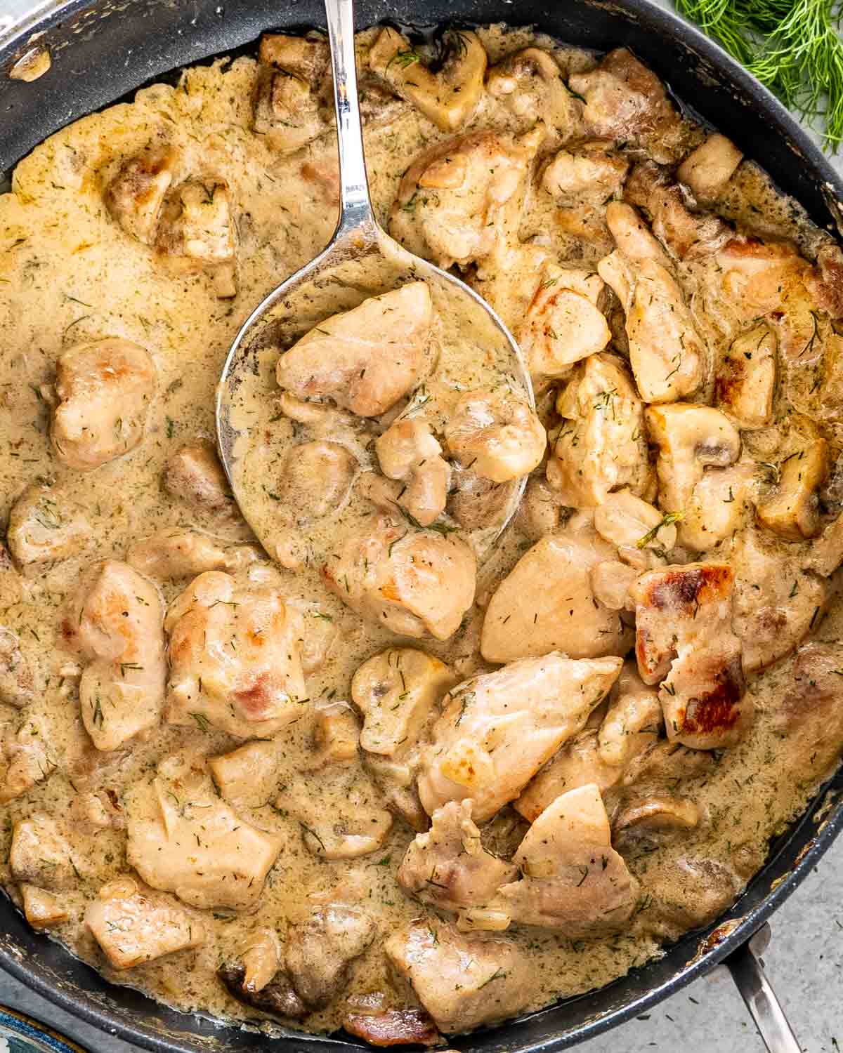 chicken and mushrooms in creamy dill sauce in a black skillet with a serving spoon inside.