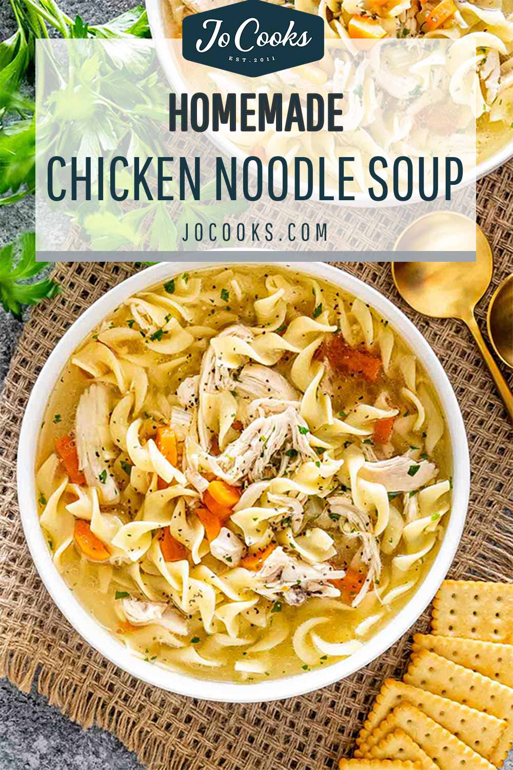 Chicken Noodle Soup - VJ Cooks