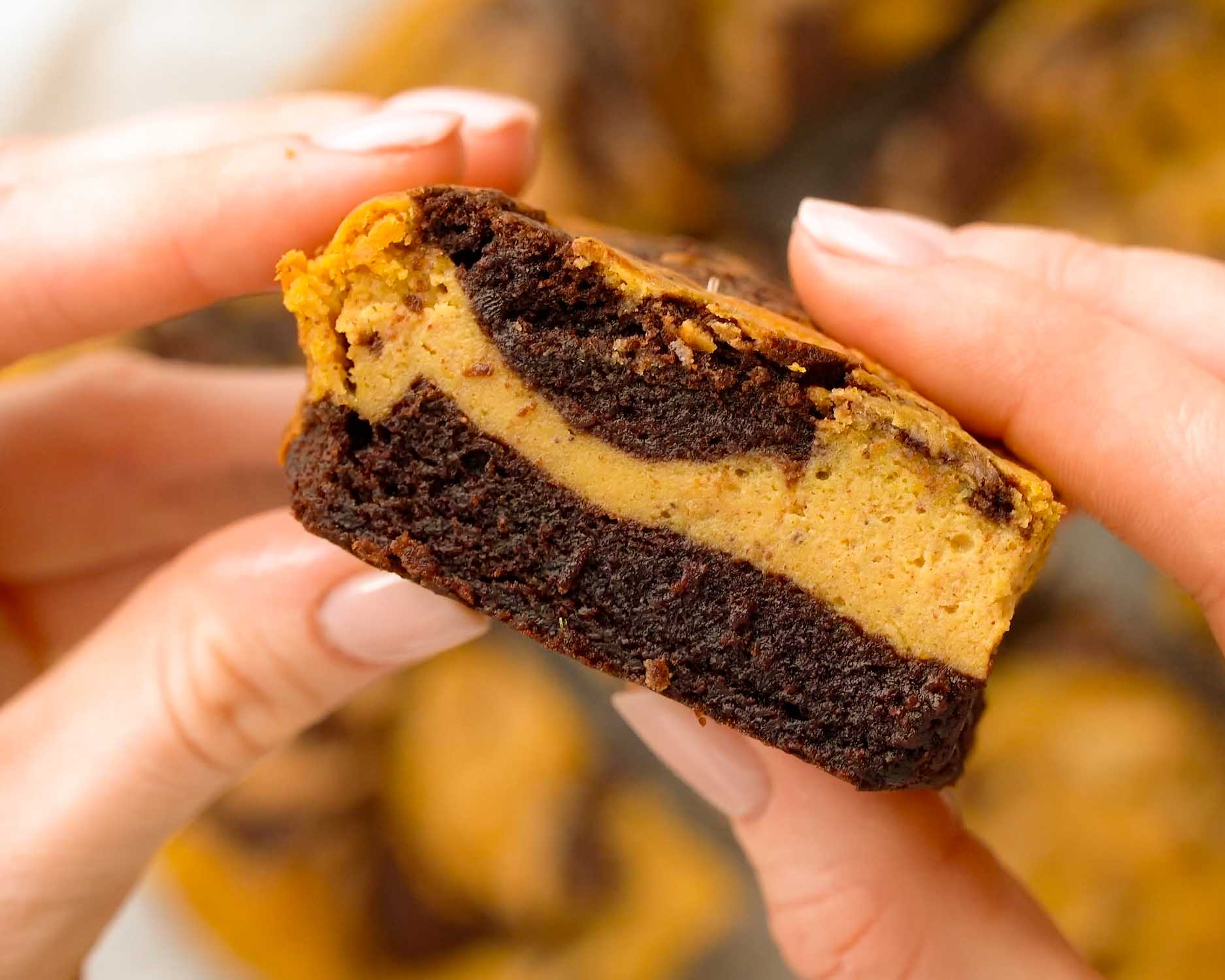 Hands holding a pumpkin cheesecake brownie close to the camera, showing its dark chocolate base and golden pumpkin layer.