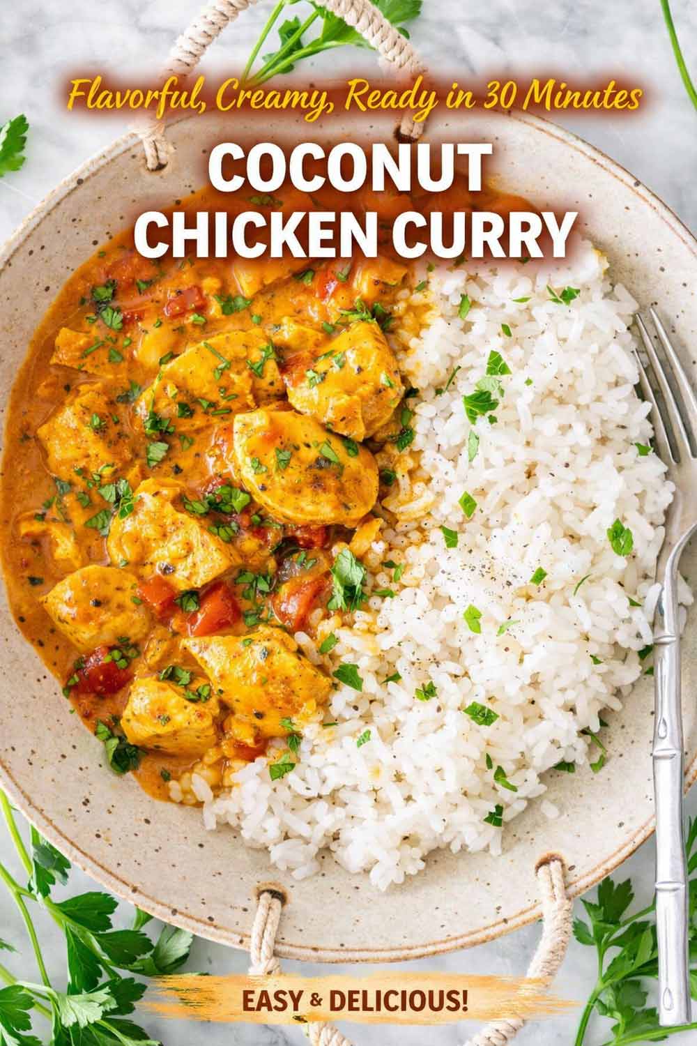 pin for coconut chicken curry.