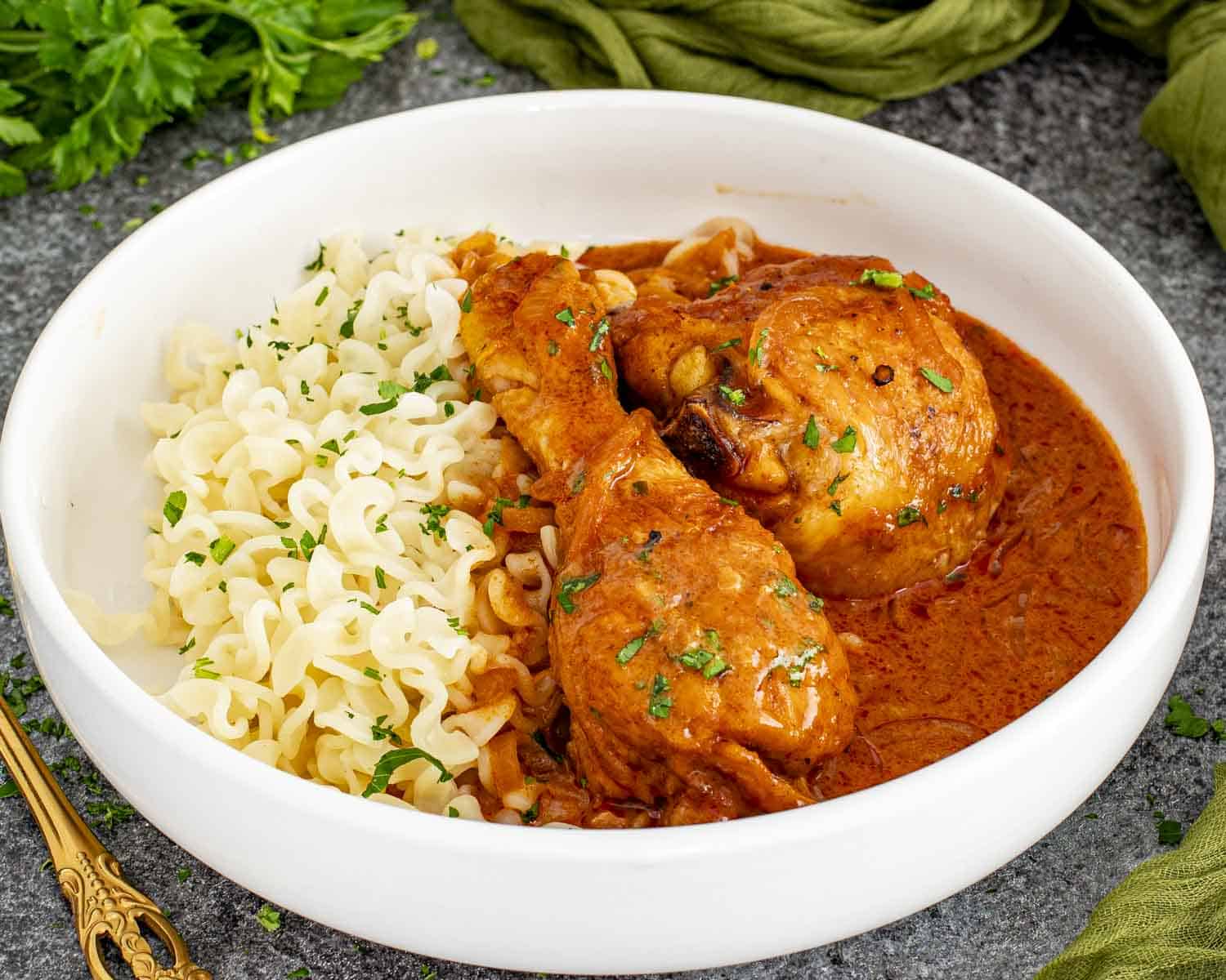 Bowl of chicken paprikash with egg noodles, rich paprika sauce, and parsley on a textured gray background.