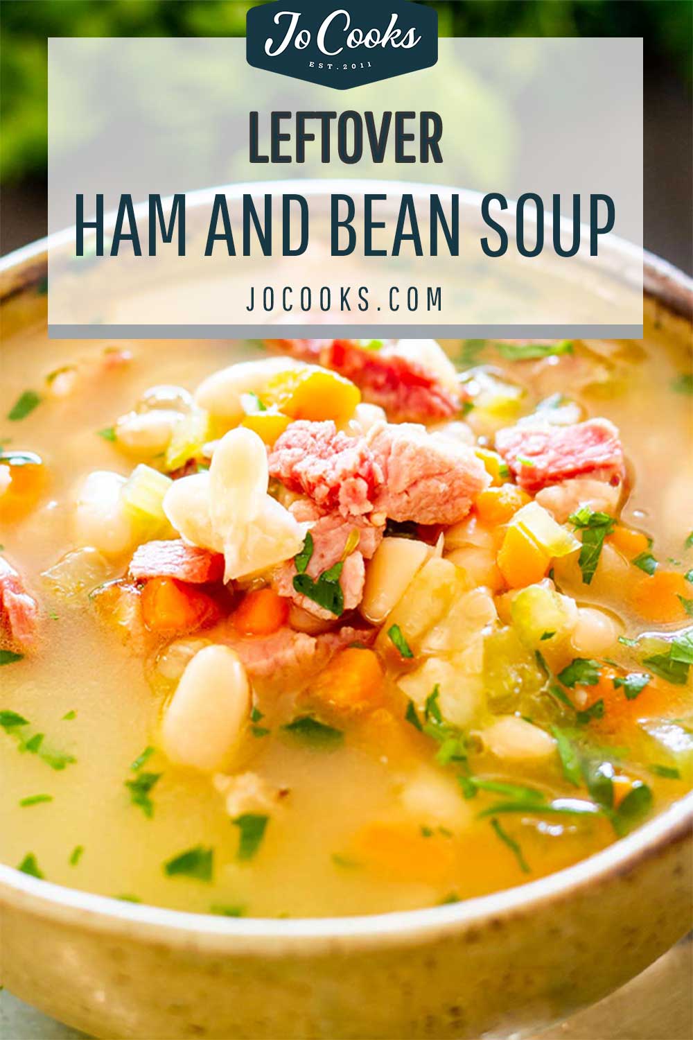 pin for leftover ham and bean soup.