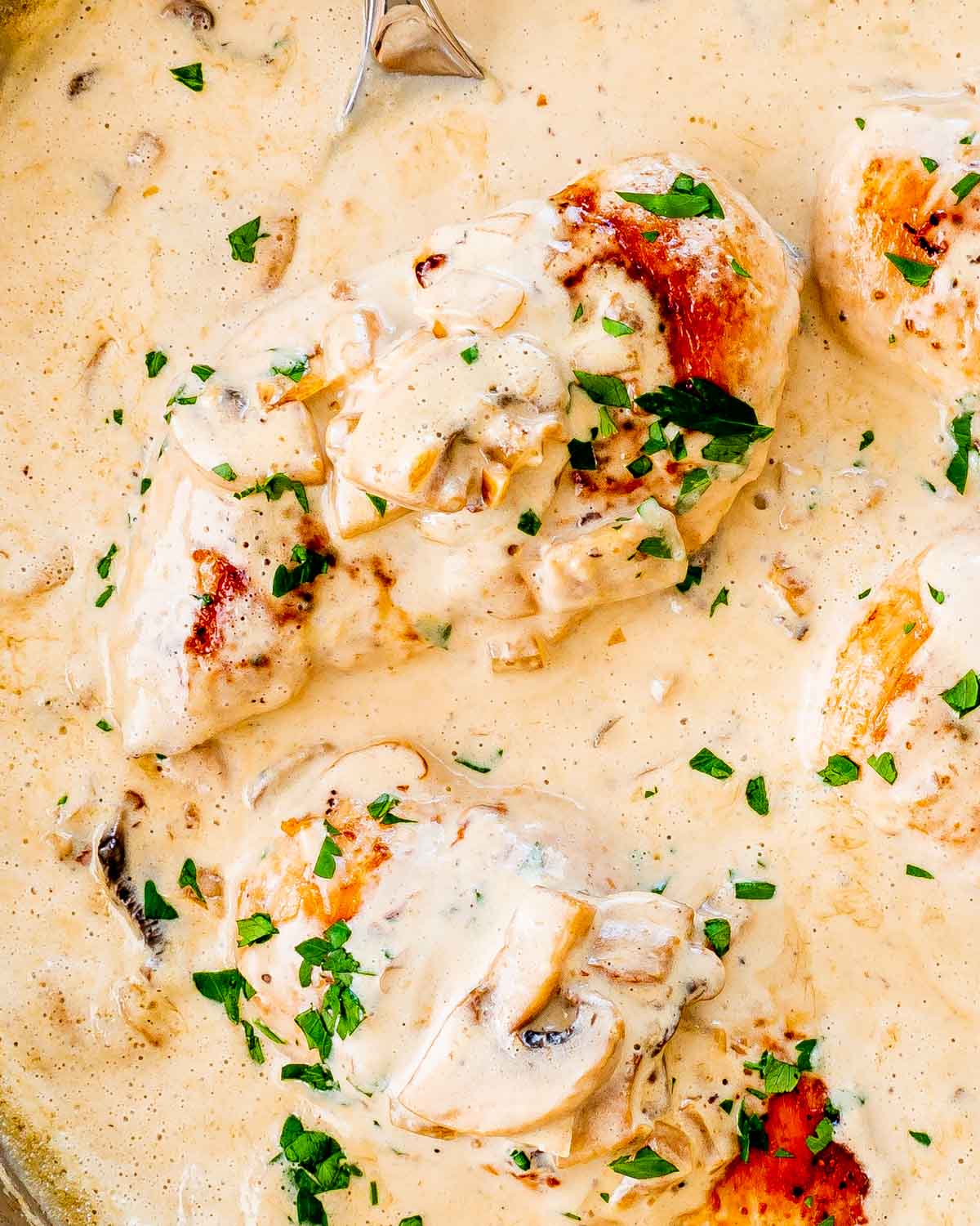 closeup of chicken breasts smothered in creamy mushroom sauce.