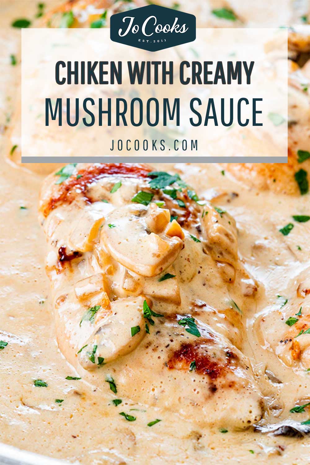 pin for chicken with creamy mushroom sauce.