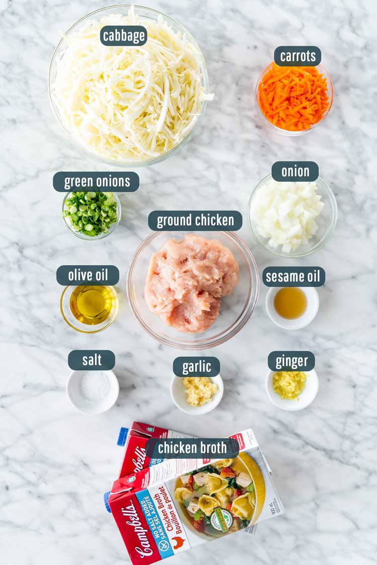 overhead shot of all ingredients needed to make egg roll soup