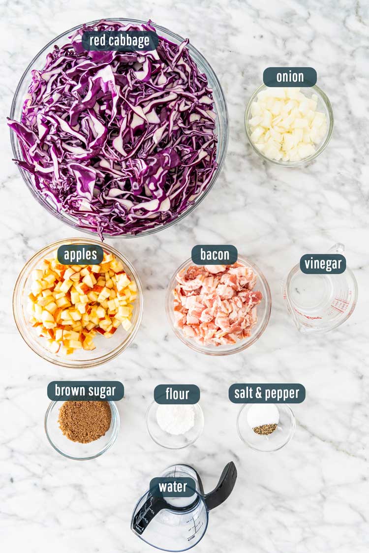 overhead shot of all the ingredients needed to make german red cabbage