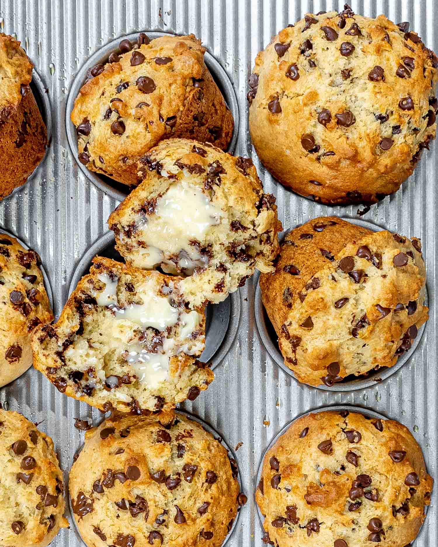freshly baked chocolate chip muffins in a muffin pan.