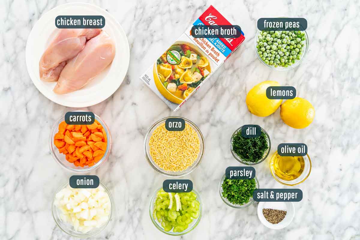 overhead shot of ingredients needed to make lemon chicken orzo soup in the instant pot