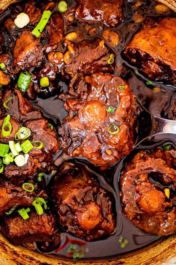 overhead shot of oxtail stew in a dutch oven garnished with green onions