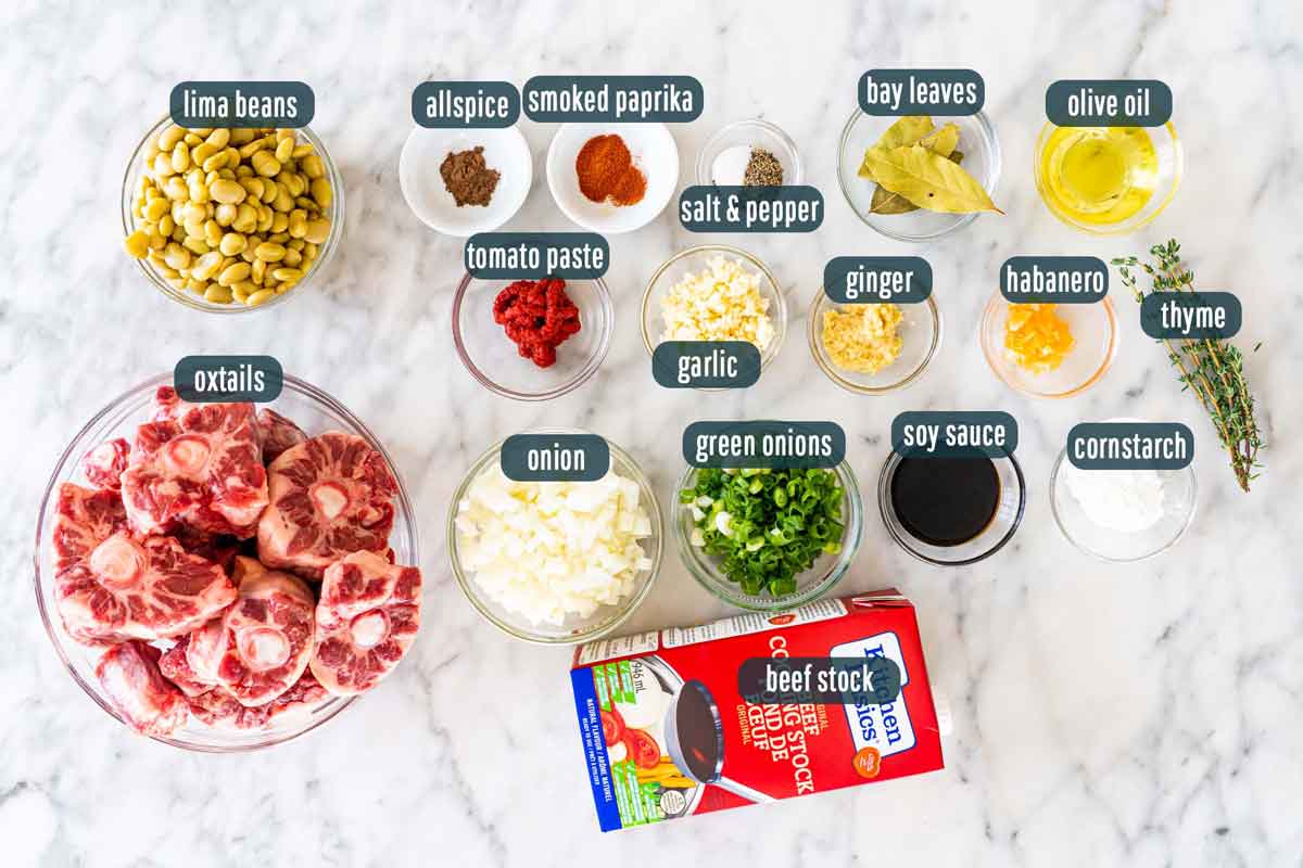 overhead shot of all ingredients needed to make oxtail stew